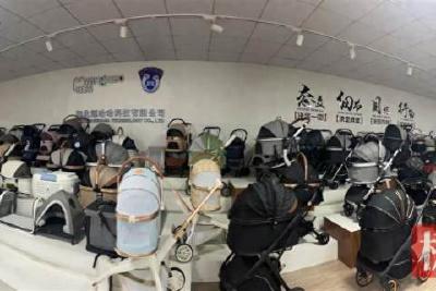 极目锐评|300余家境外媒体热炒汉川童车：睁眼看中国，满目是惊喜