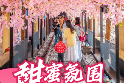 新场景七色花：解码湖北消费的多维绽放