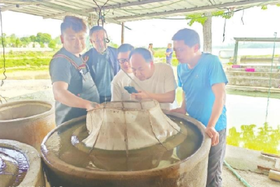 三个故事看黄冈人才链与产业链的“严丝合缝”