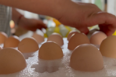 “小厂神话”如何炼成？——看汉川专精特新军团硬核进阶