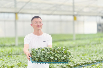 92%成活率+600万元增收——黄梅这家育苗工厂如何跻身全省前三？