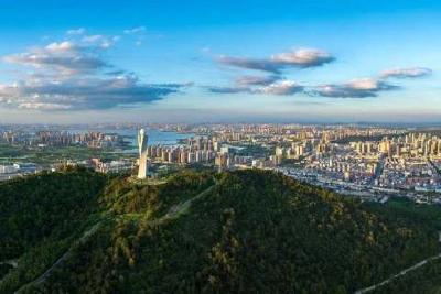 让创新基因像野草一样疯长，武汉市江夏区支持硬核科技突围的故事