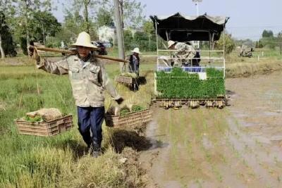 追“新”逐“智”，鄂州农业机械化率达78%