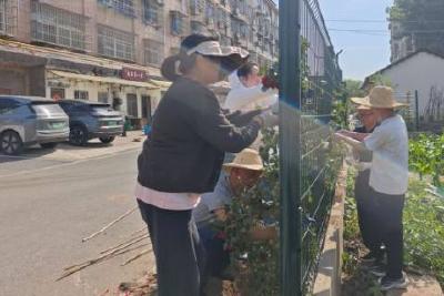 增花添绿美乡村 干群同心焕新颜 