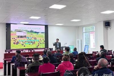 身边榜样 | 山河耕读十三春 阡陌深处有回响——记华中农业大学“硒望·农情”帮扶建始县团队