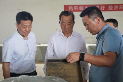 李兴兵调研全市农业生产工作