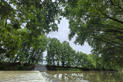 咸安区马桥镇高赛村：织就“生态＋产业＋文化”乡村振兴新画卷