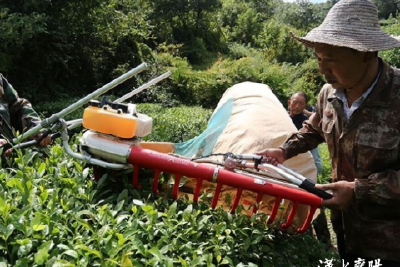 老百姓再小的事都是村里最大的事！——看看这个全国乡村治理示范村的“治村秘笈”
