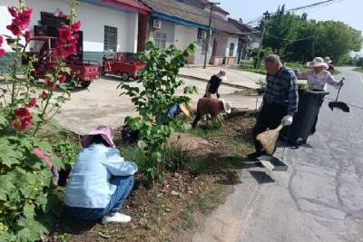 感恩母亲节 洁净家园行