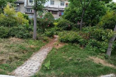 清洁家园正当时 扮靓公园提颜值