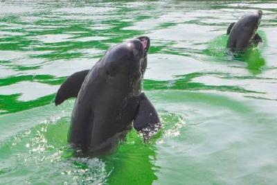 荆州：从“休养生息”到“生生不息”