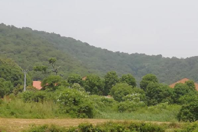 【当阳地名故事】当阳八景之二 ——龙泉夜月