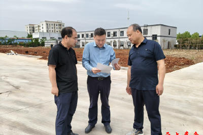 “代表智库”链动三产革新 ——看嘉鱼人大代表如何用履职密码撬动县域产业倍增