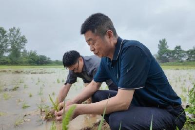 抢水抢种抢管 护好“粮袋子”