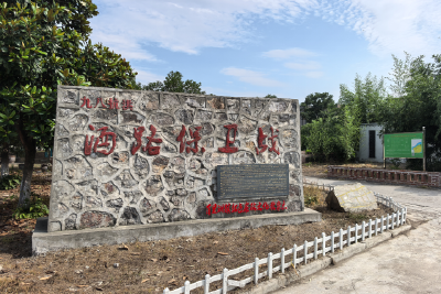 “抗洪精神，激励我们拼出好日子”——百里洲抗洪纪念设施寻访记