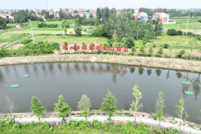 陈家河重生记：一条“幸福河”的生态蝶变