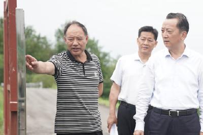 李兴兵调研防汛工作及玛瑙河乡村振兴示范带建设