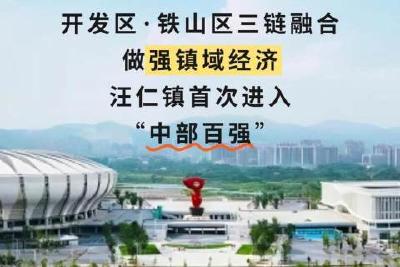 荒山崛起200亿工业平台！黄石迸发“镇”能量→