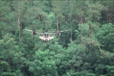 芒种时节  千亩水稻无人机精准直播