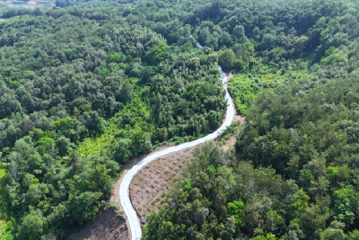 泥巴路变水泥路  边界村迈上致富路
