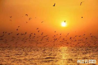 洪湖，浪打浪里万象新