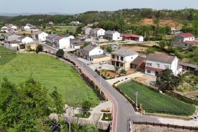 激发基层治理活力   共建美好生活环境