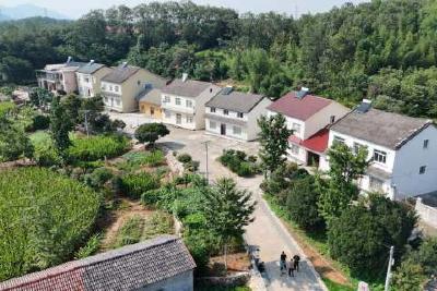 走好产业富民之路 夯实基层治理根基