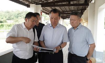 ​李兴兵调研玉双田园和美乡村示范片建设工作