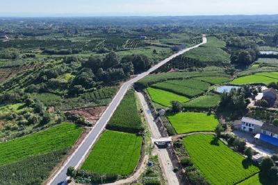 “边界行”铺就“幸福路” 王店镇道路提升工程全面启动