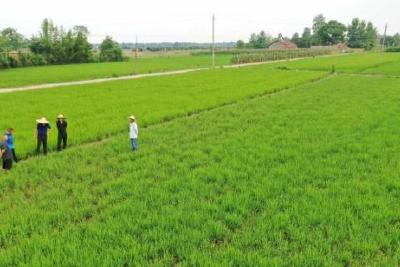 漳河鸡公尖大坝管理所深入一干渠灌区解旱情