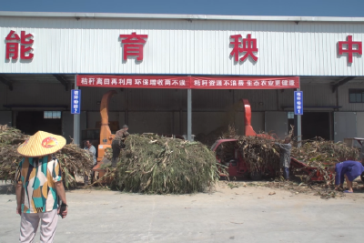 “秸”尽所能 鑫锐再生资源有限公司巧解秸秆利用难题