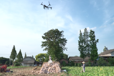 无人机化身“搬运工”  “挑起”南瓜“丰收担”