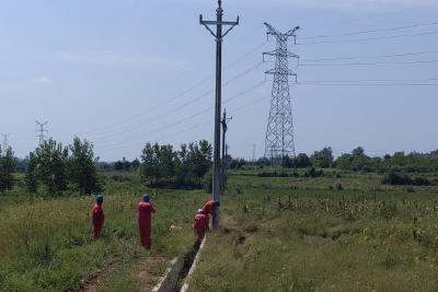 坝陵街道鲁山村：电力改造加速推进 村民用电更安全稳定
