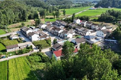 从“推着干”到“比着干”     清溪村：让“扫干净、码整齐、收通豁、管到位”成为常态