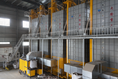 半月镇红光村：稻谷烘干机械化  晒粮不再看“天色”