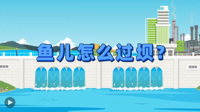 东湖北望 |长江上，鱼儿怎样“跃龙门”？