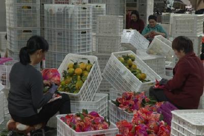 【聚力支点建设 冲刺全国百强】鸿宇农业：种销一条龙助力产业发展 农民致富