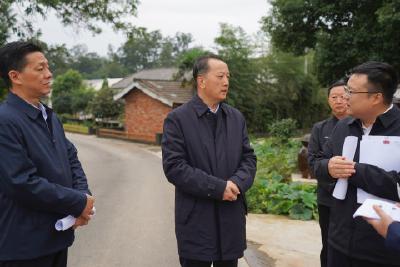 李兴兵调研督导强县富民兴村“三项行动”工作推进情况