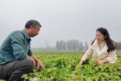 【人大在线】储菁：扎根基层践使命 巾帼代表绽芳华