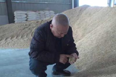 【好支部 好支书】谈朝成：建强队伍破难题 深耕产业暖民心