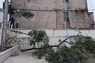 网格员高效消除“无声的威胁”