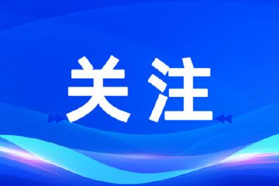 庙前镇组织市人大代表开展集中视察活动