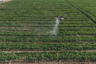 应对寒潮低温天气 提前管护确保油菜稳产