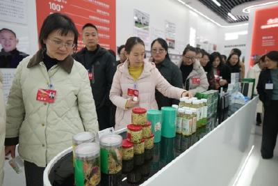 【2026当阳两会】市政协委员深入一线察实情 精准建言促发展