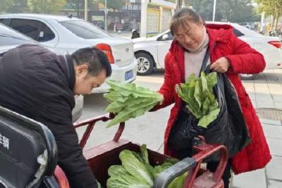 锦屏山社区志愿者捐赠自家蔬菜 为困难老人送去春日温暖