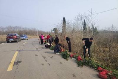 坝陵街道群华村：植树节里添新绿 共绘美丽乡村新画卷