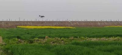 科技赋能春耕  无人机“飞防”作业守护油菜田丰产