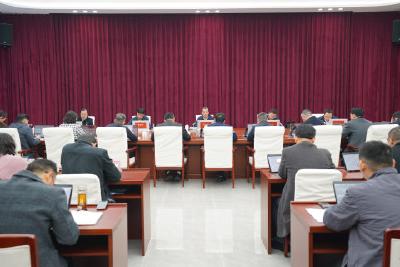 我市召开重点项目调度会