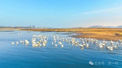 这八篇文章，写在“立规之地”