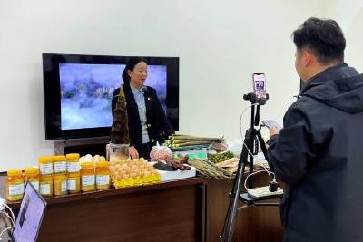 玉泉街道枣林村：活资源 兴产业 补短板 让老百姓的幸福路越走越宽